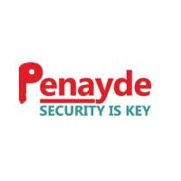 Penayde logo - Similar company to Good Ciso