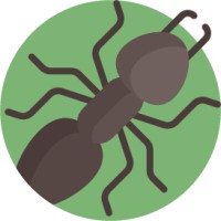 Ants Marketing logo - Similar company to Um