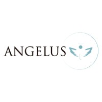 INVERSIONES ANGELUS HEALTH, C.A. logo - Similar company to Cleopharma