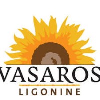 Vilnius City Mental Health Center logo - Similar company to Všį Panevėžio Mechatronikos Centras
