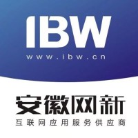 安徽网新科技有限公司