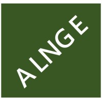 ALNGE Pte Ltd logo - Similar company to Think Re