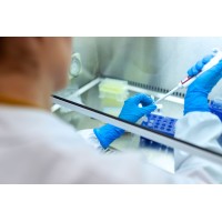 Easy Científica Comércio de Produtos Hospitalares LTDA logo - Similar company to Genética Comércio, Importação E Exportação Ltda