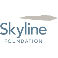 Skyline Foundation logo - Similar company to A Healthier Democracy