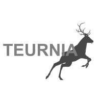 Teurnia Handels KG logo - Similar company to Peak Spirit