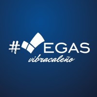 Vegas Suministros Empresariales logo - Similar company to Dotaciones & Proteccion Industrial
