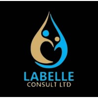 LaBelle Consult Limited logo - Similar company to Software Xpress, Ltd.