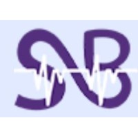 S&B Practice Consultancy logo - Similar company to Effort Em Solution Provider