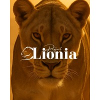 Liovzt Marketing logo - Similar company to Oh M’Idea!