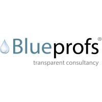 Blueprofs logo - Similar company to Endinet B.V.