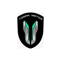 Tosan Motors logo - Similar company to Webservi.Es