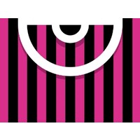 Pink Purse logo - Similar company to Va Healthcare System