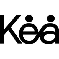 Kea Team Company logo - Similar company to Flybble