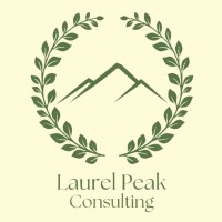 Laurel Peak Consulting logo - Similar company to Treasury Software