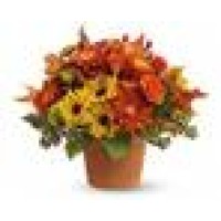 Rodier Flowers