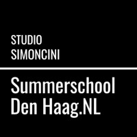 Summerschool Den Haag