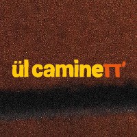 Ül Caminett' logo - Similar company to Bradipo Dischi