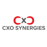CxO Synergies logo - Similar company to Stratify It