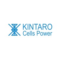 Kintaro Cells Power Vietnam logo - Similar company to Kintaro Cells Power International