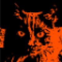 Crazed Kitty Software logo - Similar company to Kitty Kat Pole Dancing