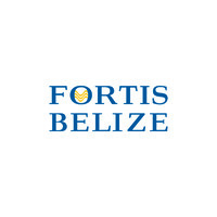Fortis Belize Limited logo - Similar company to Floating Solar Belize