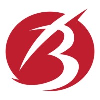 Embolden Consulting Services Pvt. Ltd. logo - Similar company to Data Ventures P Ltd.