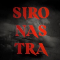Sironastra logo - Similar company to Salty