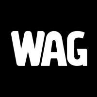 WAG Studios logo - Similar company to Azerbaycanlı Öğrenciler Ve Mezunlar Derneği