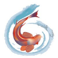 Six Inch Fish, Llc