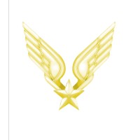 Aviation légère de l'armée de Terre logo - Similar company to Helidax