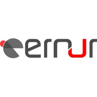 Ernur Office & School Furniture logo - Similar company to Das - Dialectic Architectural Studio