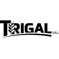 Trigal SRL logo - Similar company to Edge Solutions Consultora
