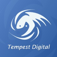 Tempest Digital Co., Ltd. logo - Similar company to 大宇資訊股份有限公司