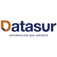 Datasur logo - Similar company to First Image Consulting