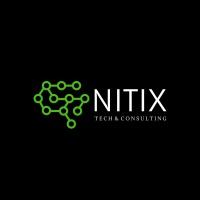 NitixTech logo - Similar company to Webspace Inc