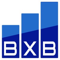 BXB Analytics logo - Similar company to Affy Cloud Solution