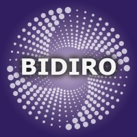 Bidiro Ltd logo - Similar company to Crypto Intel