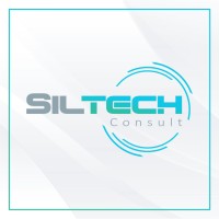 Siltech Consult logo - Similar company to Pm Siltech