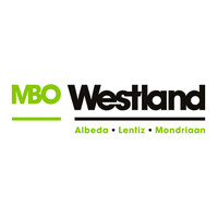 MBO Westland Business Academy logo - Similar company to Adf Snacks