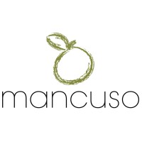 Mancuso logo - Similar company to Mancuso Group