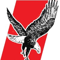 Falcon Lubricants Myanmar logo - Similar company to Uniteam Training