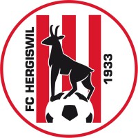 FC Hergiswil 1933 logo - Similar company to Andreas Imfeld - Business Coach