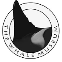 The Whale Museum logo - Similar company to Orca Conservancy