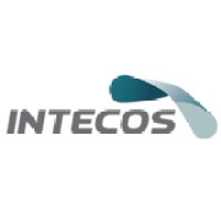 Intecos logo - Similar company to Mhub Srl