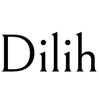 Dilih Brands logo - Similar company to Wellyst, Inc.