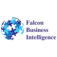 Falcon Business Intelligence