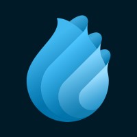 Valleyspring logo - Similar company to Serra Process
