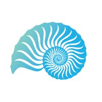 Blue Resources Ltd