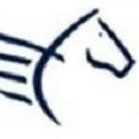 Limpieza Pegaso logo - Similar company to Limpieza Seinlic