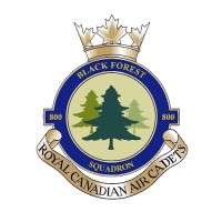 800 'Black Forest' Squadron, RCAirCS logo - Similar company to Stem1